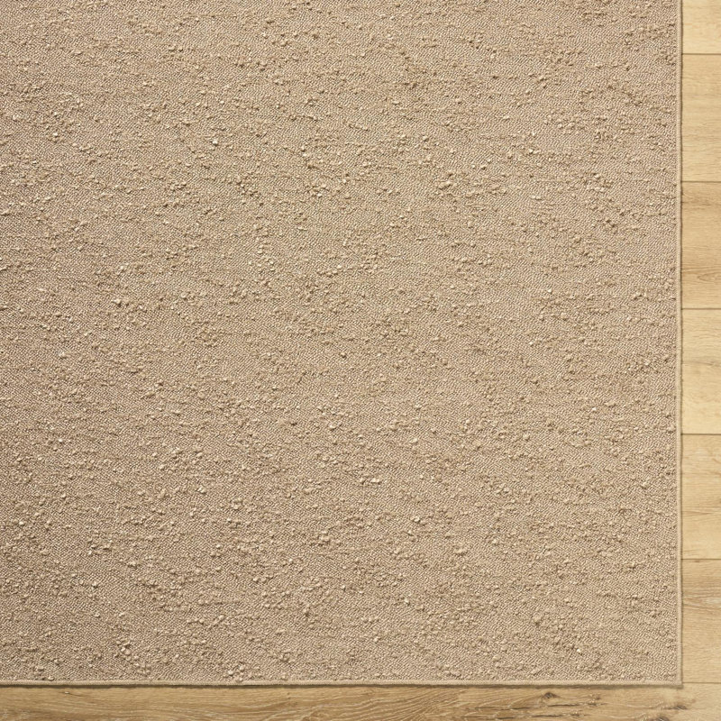 Saliym Machine Washable Area Rug, Rectangle 6' x 9'