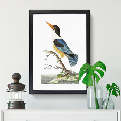 Blue Kingfisher by George Shaw - Picture Frame Painting