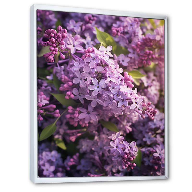 «Lilacs mauves», impression sur toile, H 32 po x l 16 po x P 1 po, Toile blanche