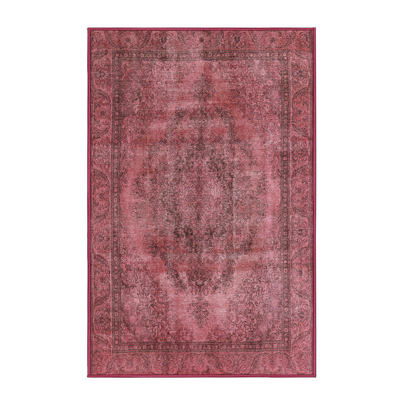 Ahnyla Oriental Indoor Rug, Rectangle 2' x 4'