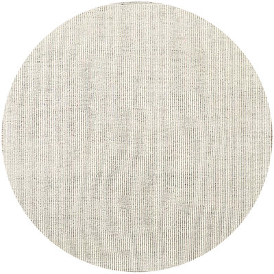 Oriental Indoor Rug