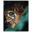 Jungle Watcher I Animals Canvas Print by Oliver Gal, Black Frame, 16 x 20-1615259819-1615259836