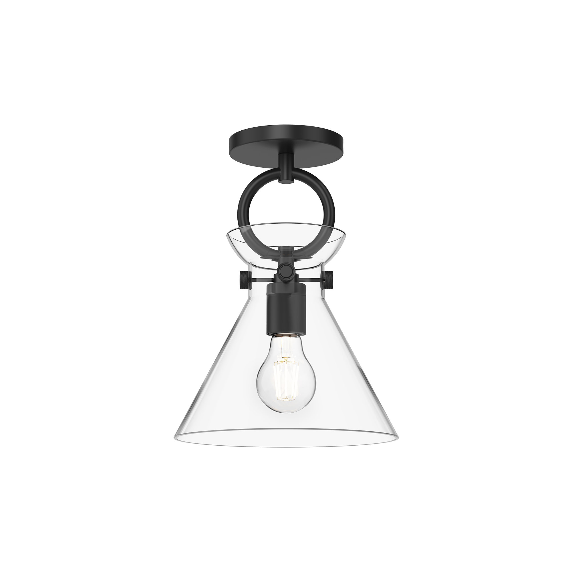 Tiney Single Light Glass Semi Flush Mount, Clear, Matte Black