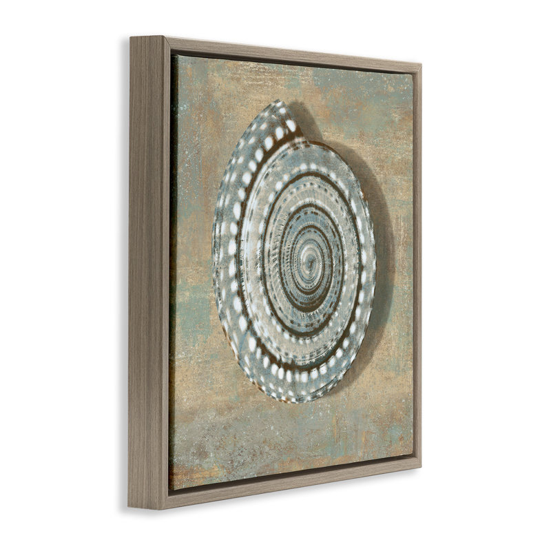 «Spiral Shell Beach Beach» par Christy McKee, H 25 po x l 25 po, Cadre flottant orme Montalcino