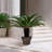 Plastic Flower Plant Pots Set of 4-900570931-900570928
