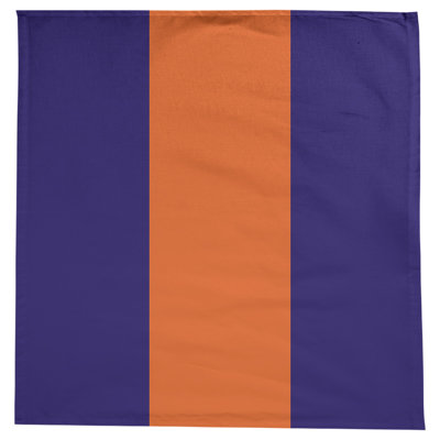 Denver Basketball Tablecloth