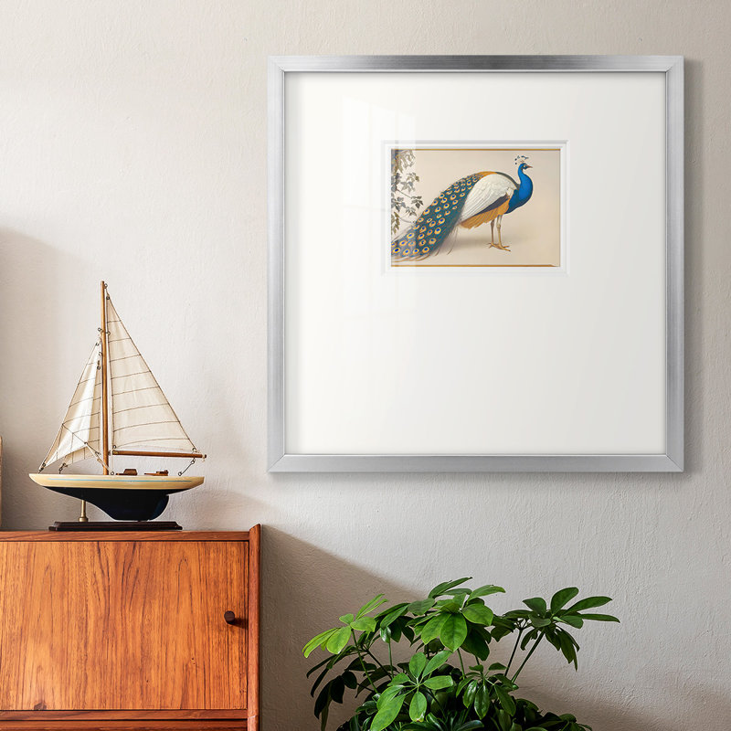 «Golden Peacock Iiompemium», reproduction encadrée, H 21 po x l 21 po, Encadrement argenté
