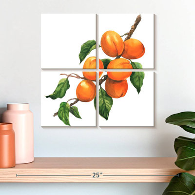 Abricots mûres Yarlin