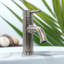 Lulani Aruba Single Hole Bathroom Faucet with Drain Assembly-50297496