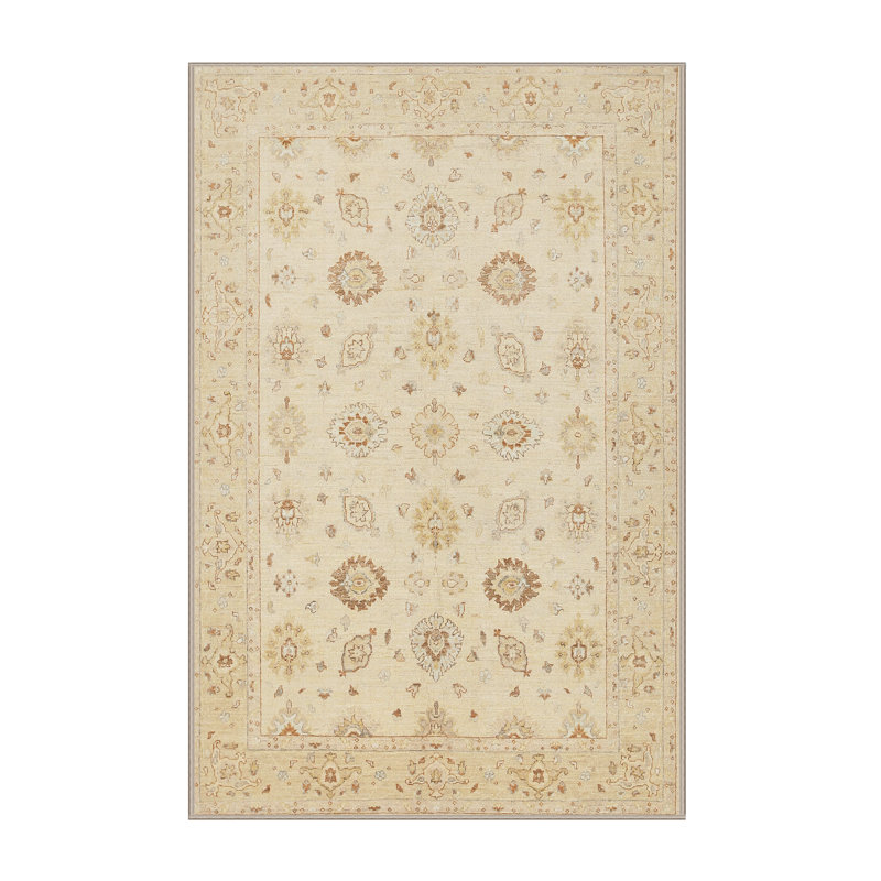 Janice Oriental Indoor Rug, Rectangle 2' x 3'