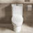 1.1/1.6 GPF Dual-Flush Toilet With Siphonic S-Trap-124986424