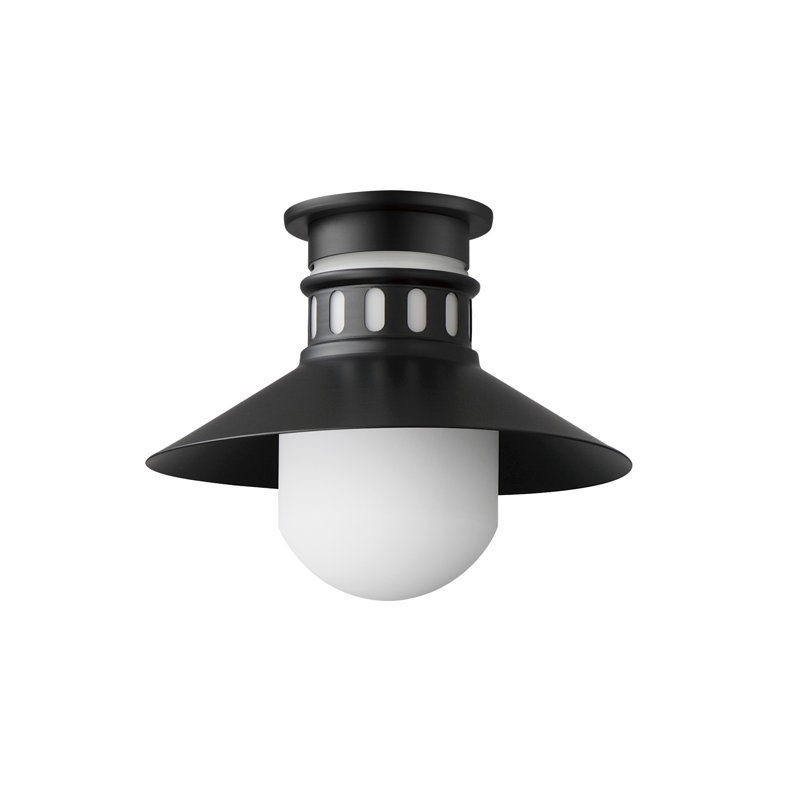 Parimal Outdoor Pendant, Black