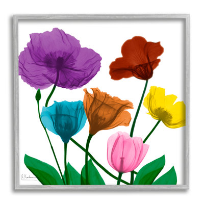 Bold Summer Blooming Florals Translucent Rainbow Flowers Gray Farmhouse