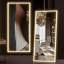 165x60cm Full Length Floor Standing Mirror with LED Light, Dimmable Color and Brightness Adjustable