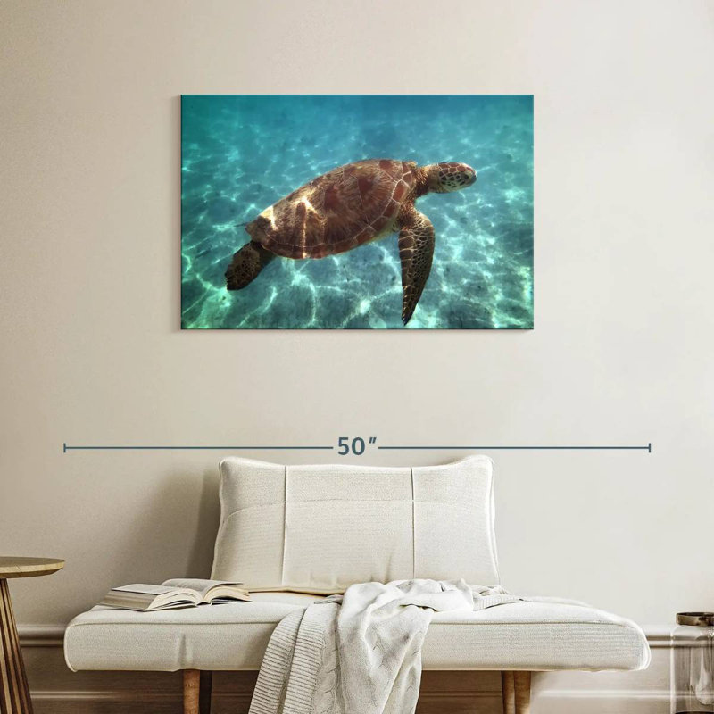 Brampt Endangered Hawksbill Turtle