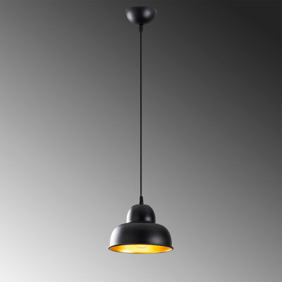1 - Light Single Pendant