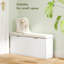 Accent Cabinet