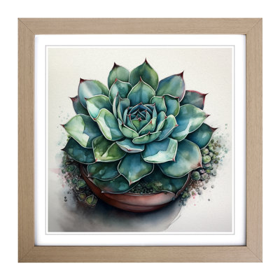 Succulent Watercolour - Framed Print