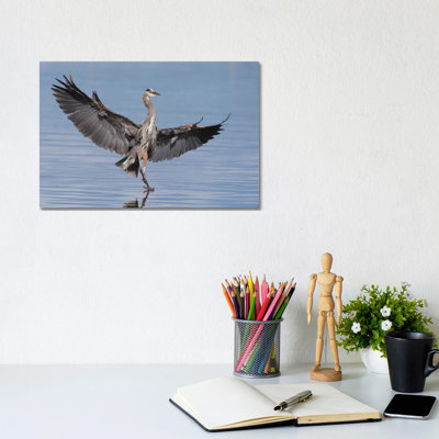 Great Blue Heron Alighting by Ken Archer - Wrapped Canvas Print