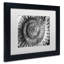 « amonita 2 » par moises, reproduction de photo encadrée-40373135-15821985