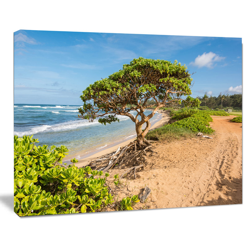 «Green Tree on Beach in Kauai Hawaii», reproduction de photo sur toile tendue, H 30 po x l 40 po x P 1 po