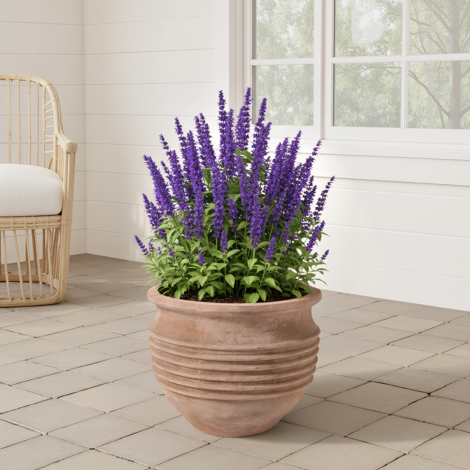 Ceramic Pot Planter, 18.50" H x 23.25" W x 23.25" D
