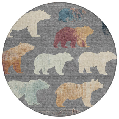 Machine Washable Indoor/Outdoor Chantille ACN2338 Lodge Rug
