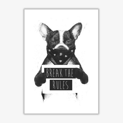 Rebel Bulldog by Mercedes Lopes Charro - Single Picture Frame Rectangle Print
