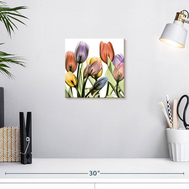 Harnek Tulip Scape, H 10 po x l 10 po