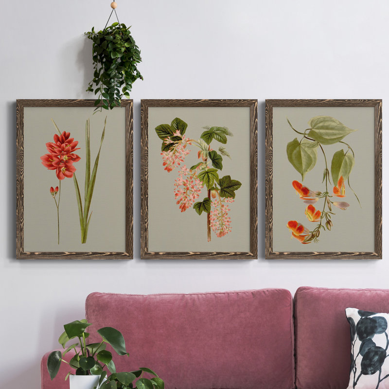 «Botanical Array IV», ensemble de 3 reproductions d'art sur toile, Noyer, H 43,5 po x l 31,5 po x P 1 po