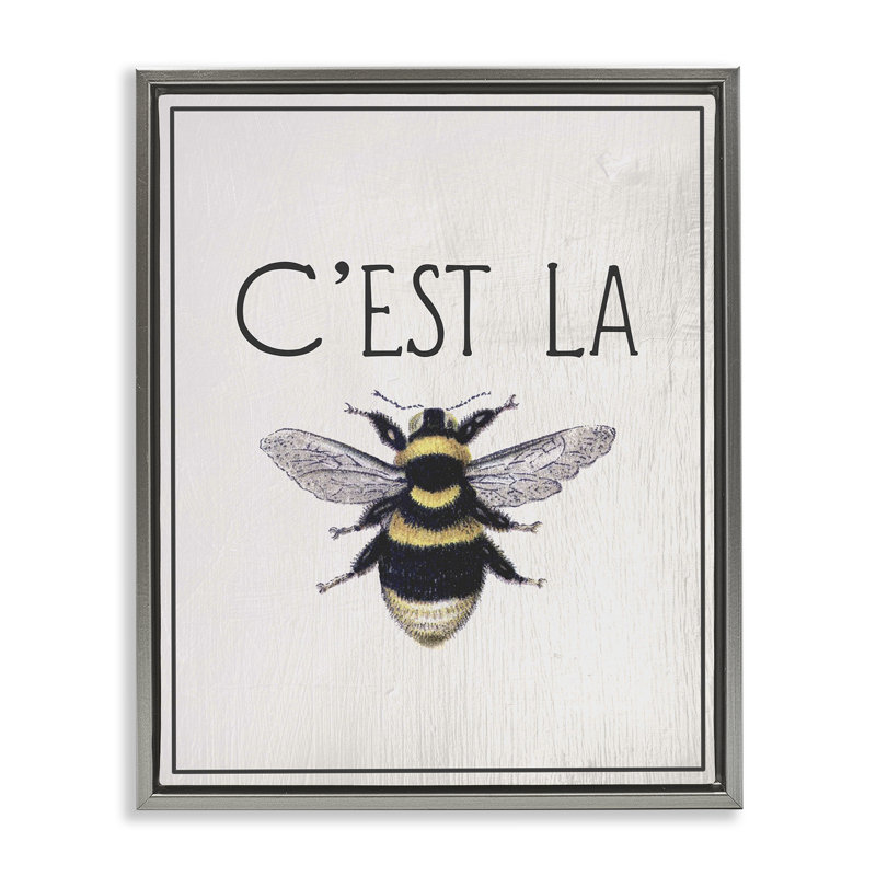 Cadre flottant French Bee, par Lil 'Rue, H 21 po x l 17 po, Cadre flottant gris lustré