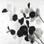 Reproduction encadrée en niveaux de gris avec feuilles - noir et blanc