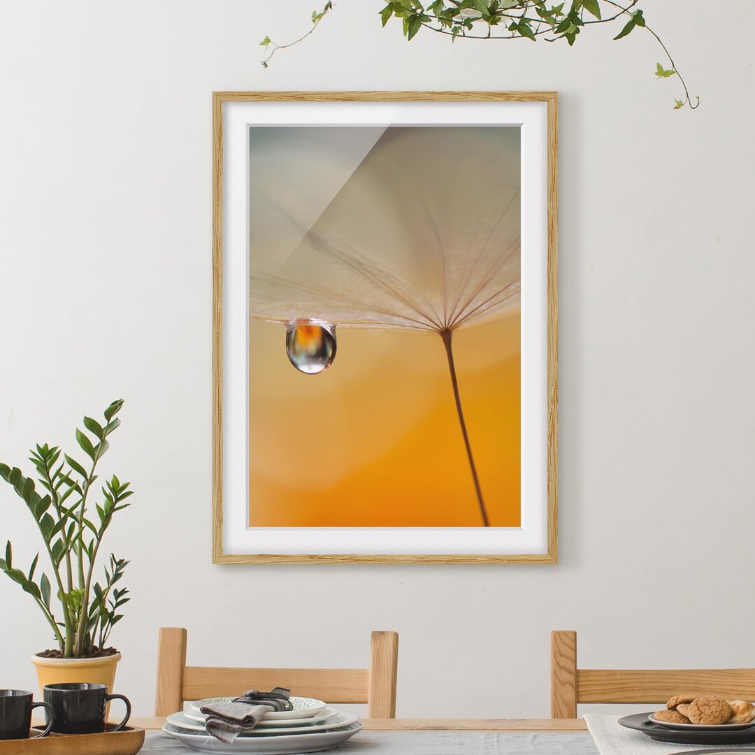 Gerahmtes Papierbild Pusteblume in Orange