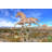 36'' H Metal Animals Weathervane-21835487