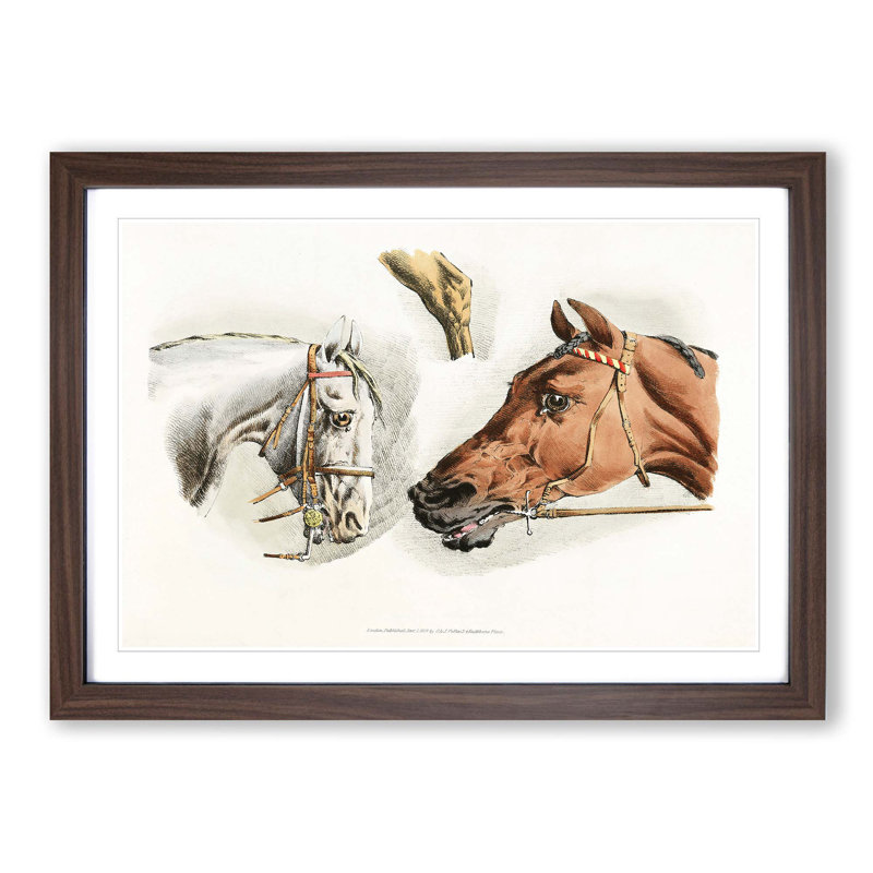 Illustrations of Horses by Henry Alken - Picture Frame Painting Print on MDF, Walnut Framed, 36cm H x 48cm W x 2cm D