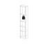 Krystah 203.2 cm H x 40.6 cm W Standard Bookcase