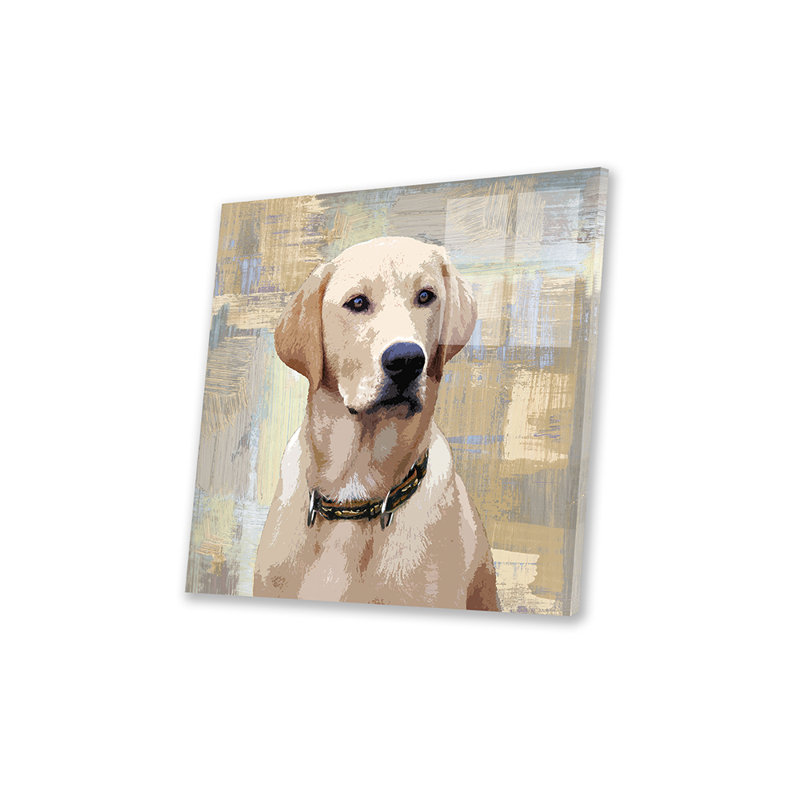 Labrador Retriever, reproduction sur verre acrylique, H 24 po x l 24 po x P 0,25 po