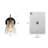 Joyee Iron Armed Sconce