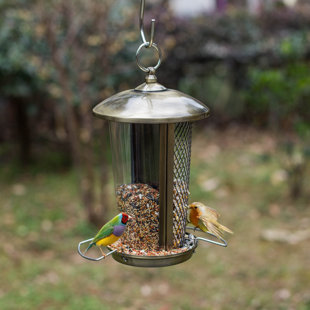 Mangeoire à oiseaux de jardin en métal avec support - Résistant aux  intempéries - En métal avec support - Piquet de jardin - Mangeoire pour  oiseaux 