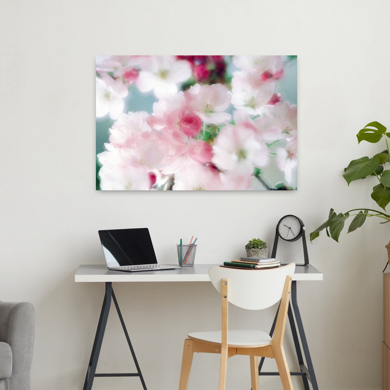 Fleurs de cerisier, gros plan, vue abstraite, art contemporain de fleurs de cerisier, H 24 po x l 36 po