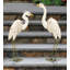 Statue de jardin Llanes-744796500