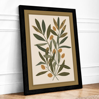 Study Plant Botanical - Framed Print