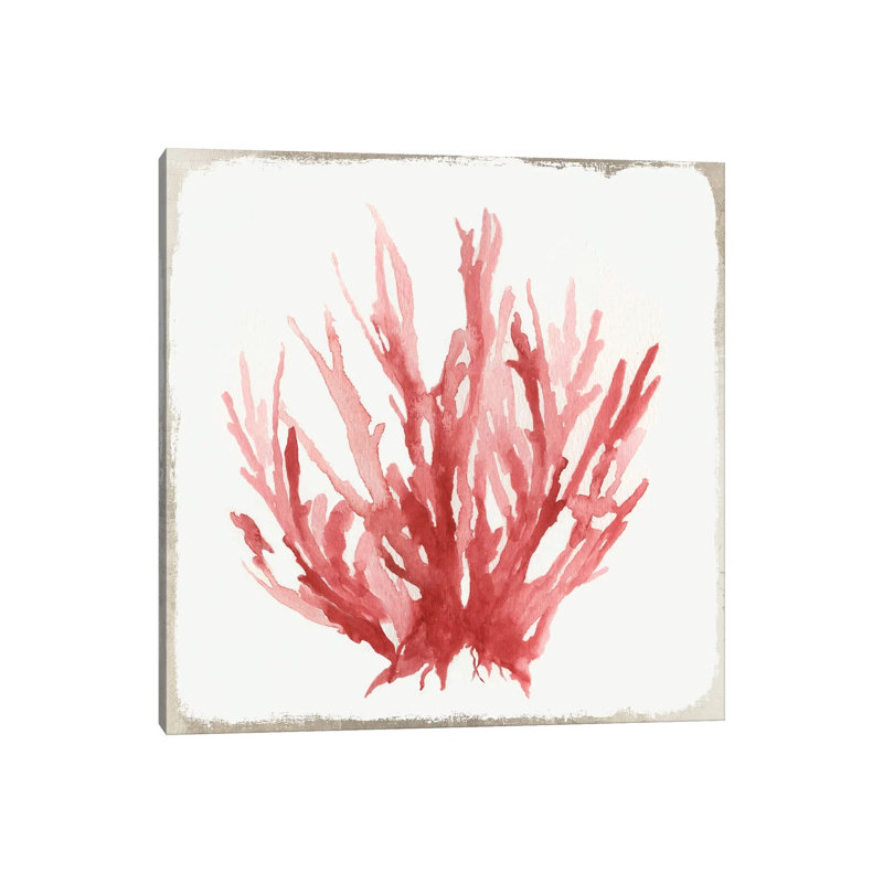 Red Coral I by Aimee Wilson - Wrapped Canvas Painting, 66.04 cm H x 66.04 cm W x 1.91 cm D