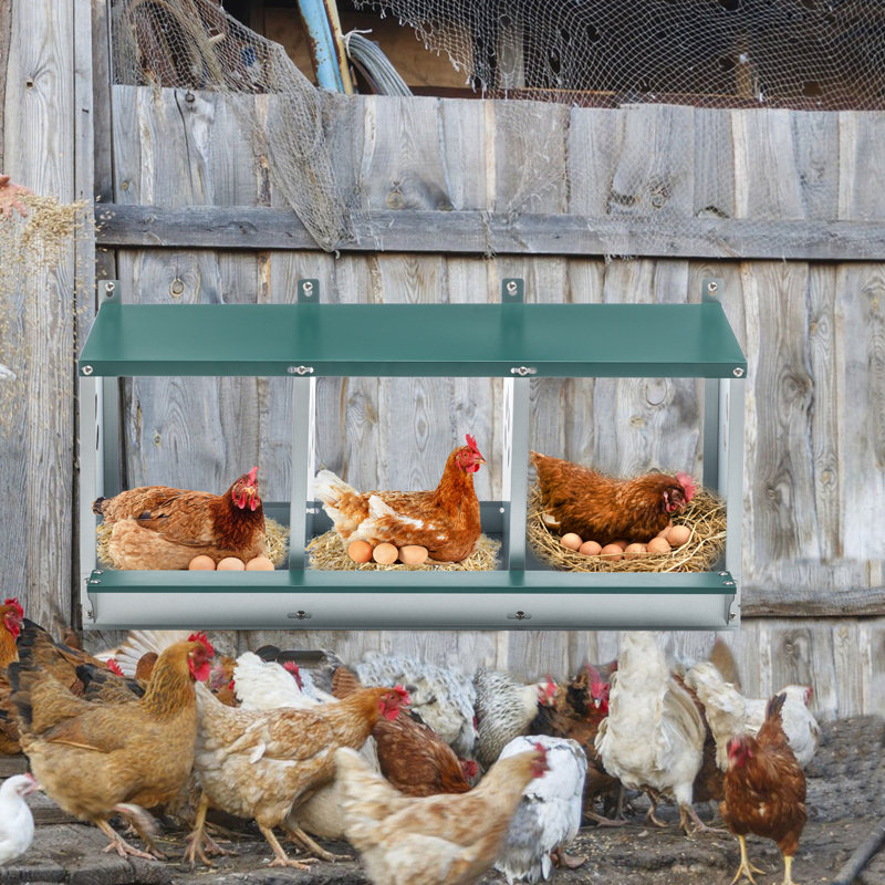 Boîte à œufs de poule en métal, 3 boîtes gigognes