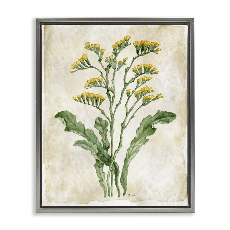 Cadre flottant rétro avec journal floral, design par Paul Brent, H 21 po x l 17 po, Cadre flottant gris lustré