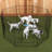 Lucky Dog Exercise Pens-11941706