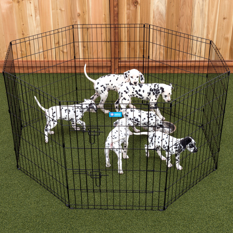 36-Inch Black Metal Foldable Pet Exercise Pen with Gate