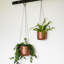 Ivyline Kew Indoor Hanging Planter with Hook, Small-900517443-900517441