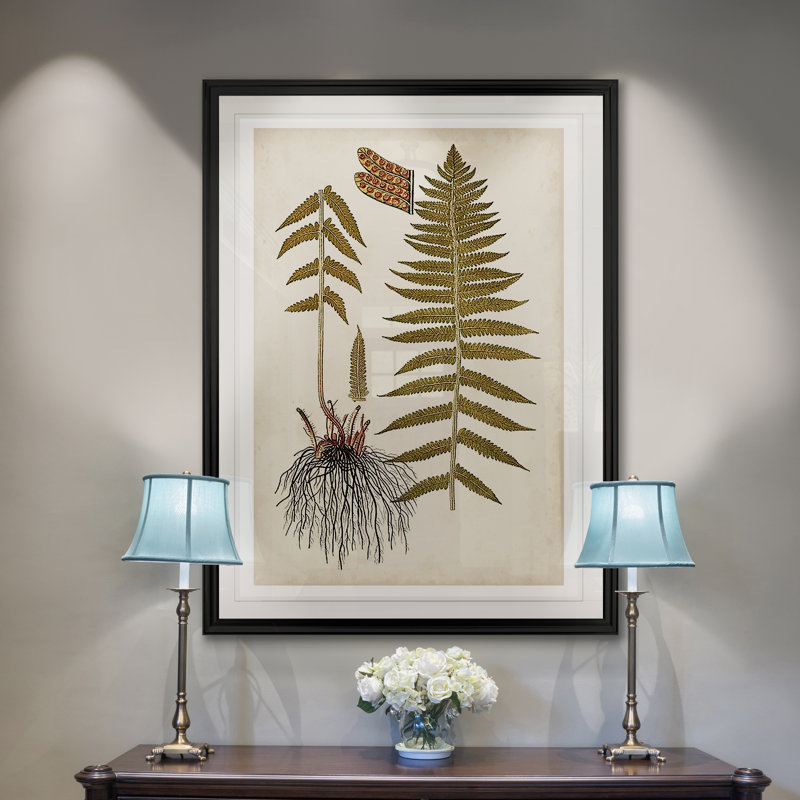 «Fern Botanical V», reproduction sur toile, H 22,5 po x l 30,5 po x P 1,5 po, Cadre noir