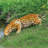 Animals Weather Resistant UV Resistant Polyresin Garden Statue